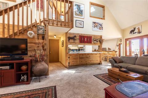 1045 S Pine Dr, Bailey, CO 80421 photo 20