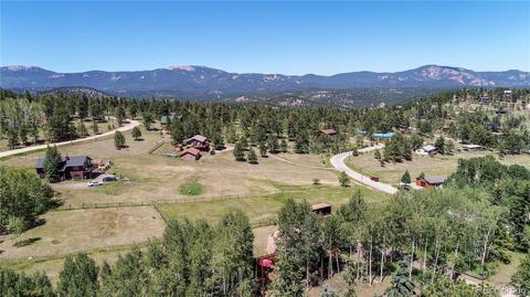 1045 S Pine Dr, Bailey, CO 80421 photo 34