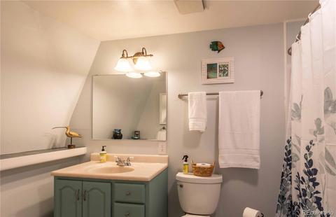 1045 S Pine Dr, Bailey, CO 80421 photo 22