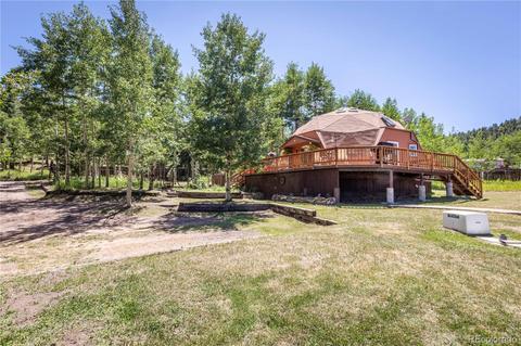 1045 S Pine Dr, Bailey, CO 80421 photo 4