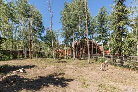 1045 S Pine Dr, Bailey, CO 80421 photo 8