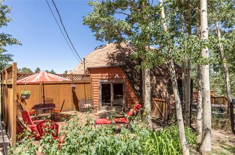 1045 S Pine Dr, Bailey, CO 80421 photo 5