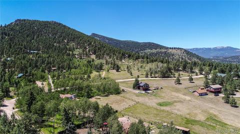 1045 S Pine Dr, Bailey, CO 80421 photo 33