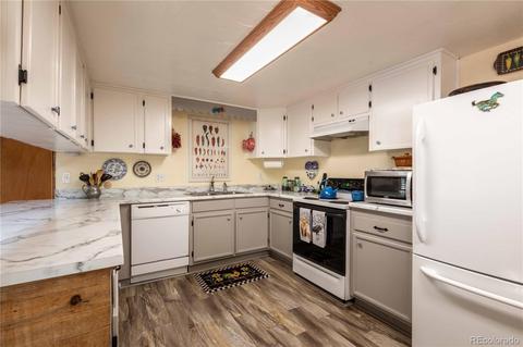 1045 S Pine Dr, Bailey, CO 80421 photo 10