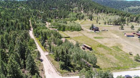 1045 S Pine Dr, Bailey, CO 80421 photo 36