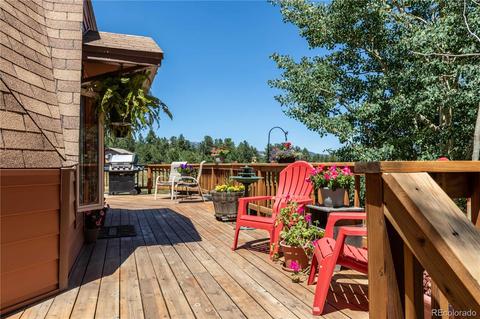 1045 S Pine Dr, Bailey, CO 80421 photo 2