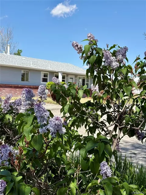 14347 E 134th Ave, Brighton, CO 80601 photo 48