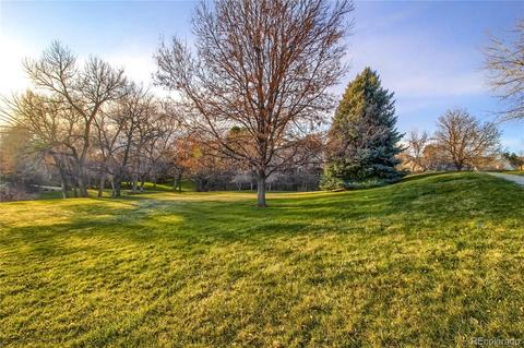 3341 Euclid Ave, Centennial, CO 80121 photo 38