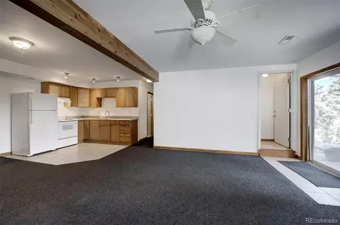 Other - 15431 Toboggan Rd, Pine, CO 80470 photo 10 of 12