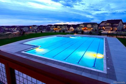 8449 Eldora Way, Arvada, CO 80007 photo 34