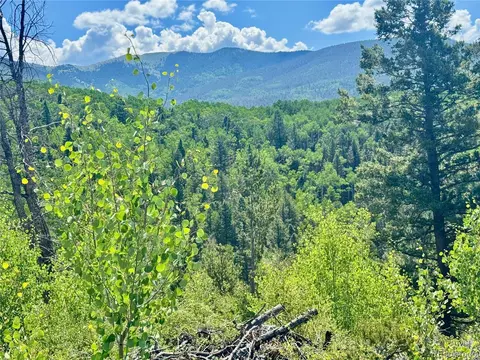 lot5850 Richardson Rd, Fort Garland, CO 81152