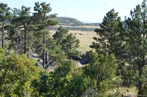 00 Plata Peak Rd, Rye, CO 81069 photo 3