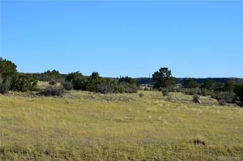 00 Plata Peak Rd, Rye, CO 81069 photo 6