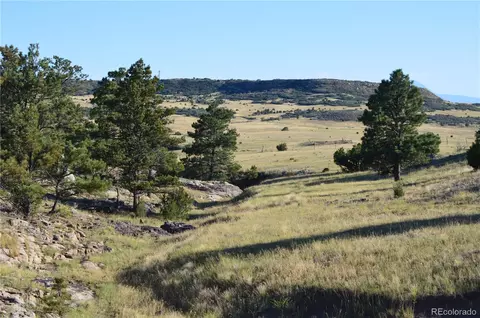 00 Plata Peak Rd, Rye, CO 81069 photo 11