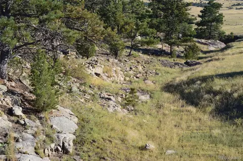 00 Plata Peak Rd, Rye, CO 81069 photo 5