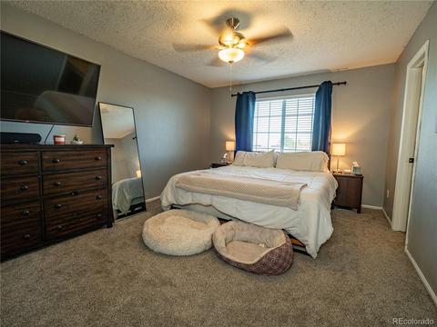 5559 S Killarney St, Centennial, CO 80015 photo 14
