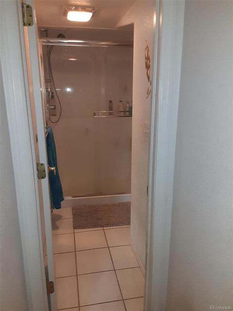 3243 E 119th Pl, Thornton, CO 80233 photo 15