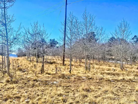 560 Raven Way, Como, CO 80432 photo 11