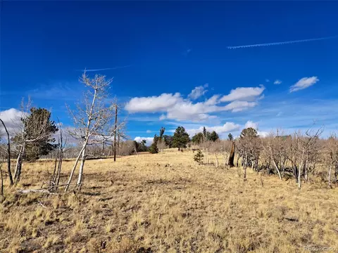 560 Raven Way, Como, CO 80432 photo 4