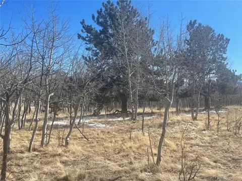 560 Raven Way, Como, CO 80432 photo 9