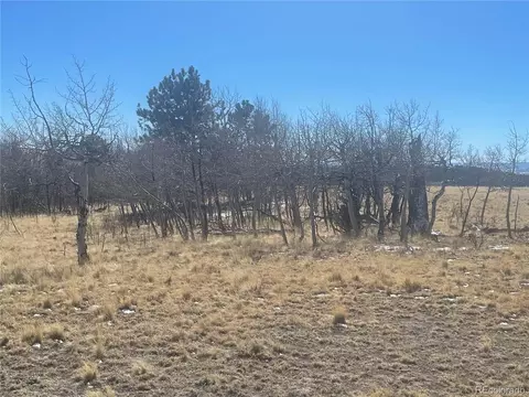 560 Raven Way, Como, CO 80432 photo 10