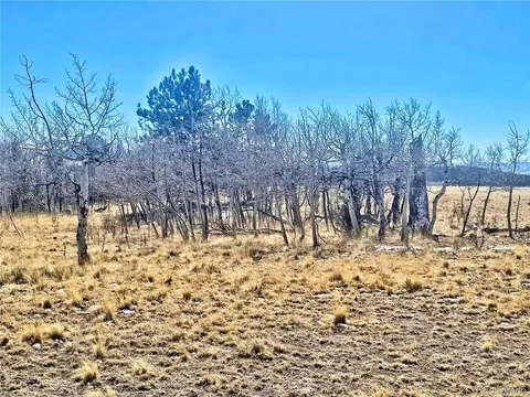560 Raven Way, Como, CO 80432 photo 17