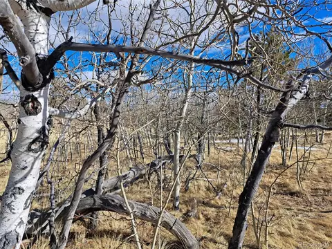560 Raven Way, Como, CO 80432 photo 7