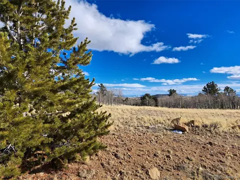 560 Raven Way, Como, CO 80432