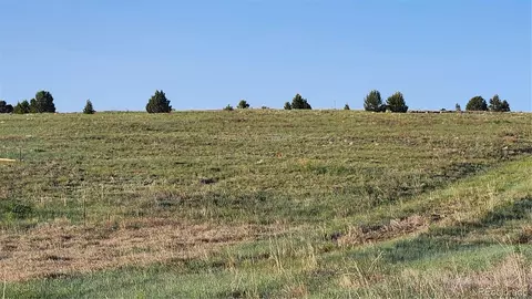 tbd L R Path, Cotopaxi, CO 81223 photo 17