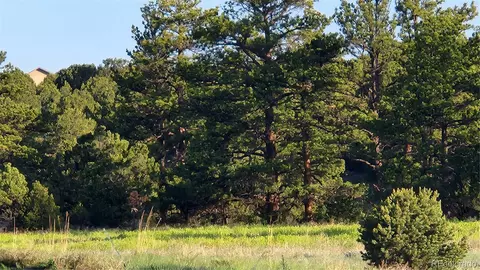 tbd L R Path, Cotopaxi, CO 81223 photo 9