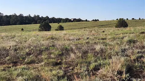 tbd L R Path, Cotopaxi, CO 81223 photo 15