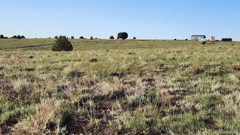 tbd L R Path, Cotopaxi, CO 81223 photo 16