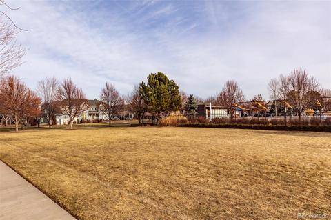 2807 Ulster St, Denver, CO 80238 photo 24