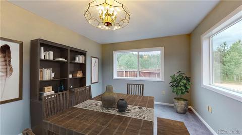 765 Aspen Dr, Bailey, CO 80421 photo 19