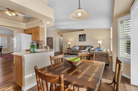 20330 E 47th Pl, Denver, CO 80249 photo 13