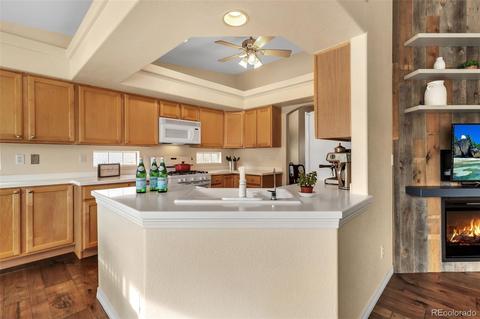 20330 E 47th Pl, Denver, CO 80249 photo 15