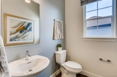 3028 Blithe Pt, Castle Rock, CO 80108 photo 18
