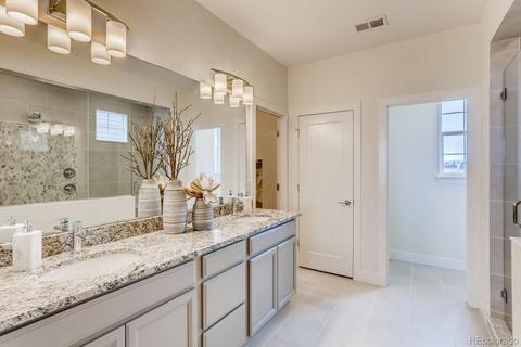 3028 Blithe Pt, Castle Rock, CO 80108 photo 6