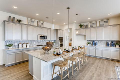 3028 Blithe Pt, Castle Rock, CO 80108 photo 14