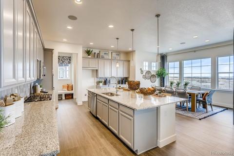 3028 Blithe Pt, Castle Rock, CO 80108 photo 15