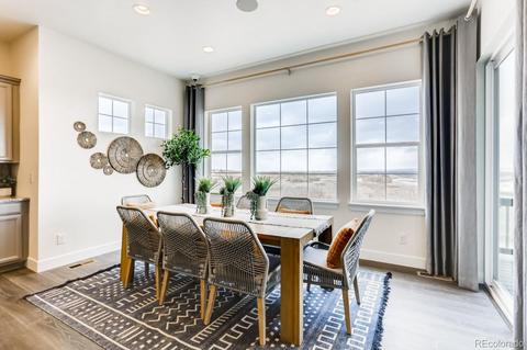 3028 Blithe Pt, Castle Rock, CO 80108 photo 13