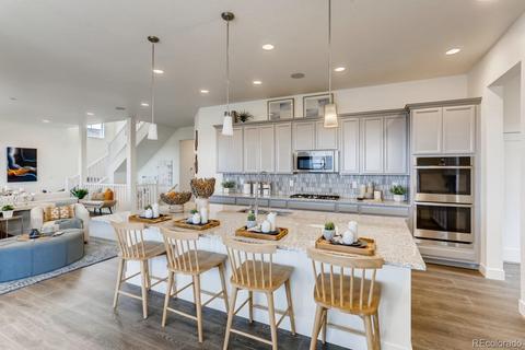 3028 Blithe Pt, Castle Rock, CO 80108 photo 4