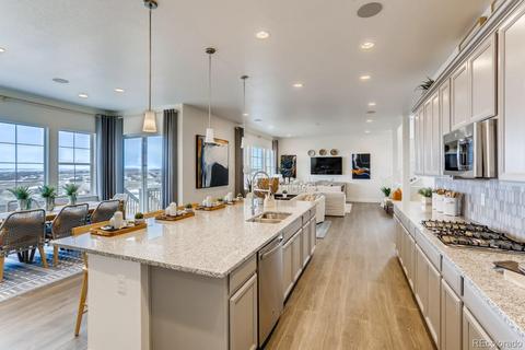 3028 Blithe Pt, Castle Rock, CO 80108 photo 16