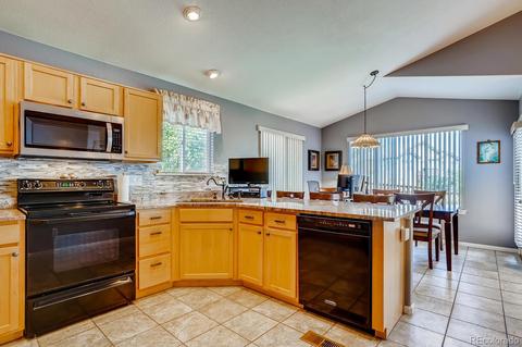6771 Tiger Tooth, Lone Tree, CO 80124 photo 7