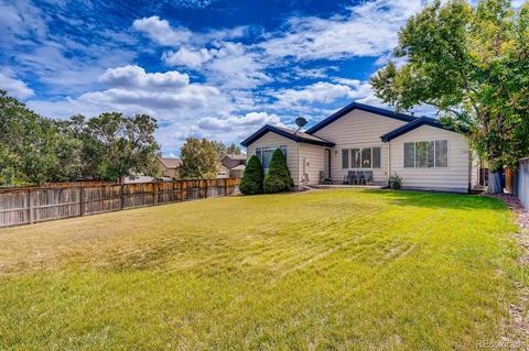 6771 Tiger Tooth, Lone Tree, CO 80124 photo 28