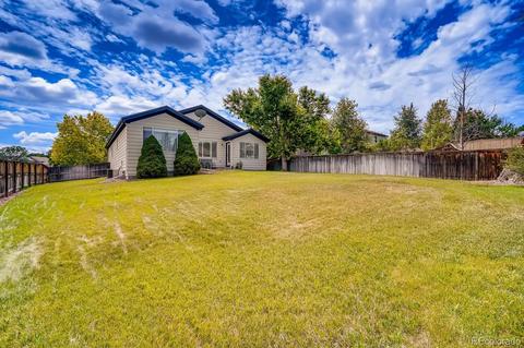 6771 Tiger Tooth, Lone Tree, CO 80124 photo 27
