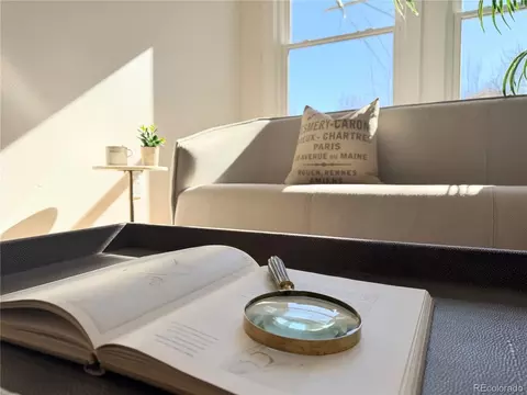 715 E 4th Ave, Denver, CO 80203 photo 21