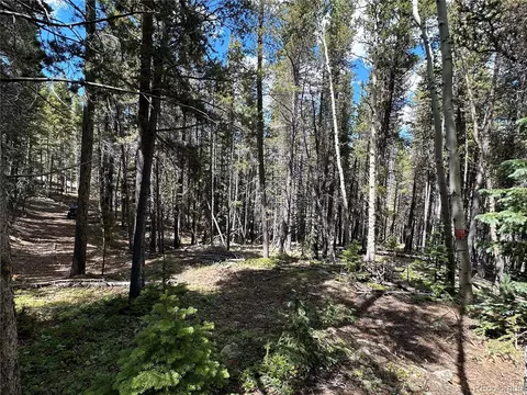 00 S Spring Gulch, Idaho Springs, CO 80452