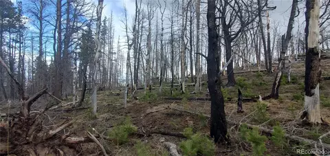lot2738 Newman Pl, Fort Garland, CO 81133