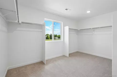 1436 Boyle St, Windsor, CO 80550 photo 20